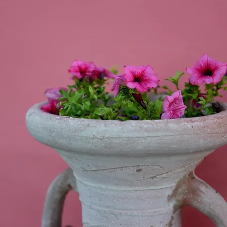 La Casa Di Anna ベッド・アンド・ブレックファスト Bucchianico