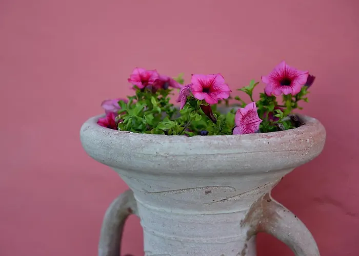 La Casa Di Anna Alojamento de Acomodação e Pequeno-almoço Bucchianico